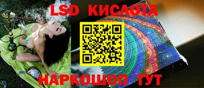 спиды Сланцы