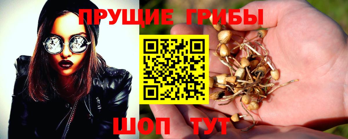 Галлюциногенные грибы ЛСД  Псилоцибиновые грибы прущие грибы  как найти закладки  Вход с VPN  Ставрополь 